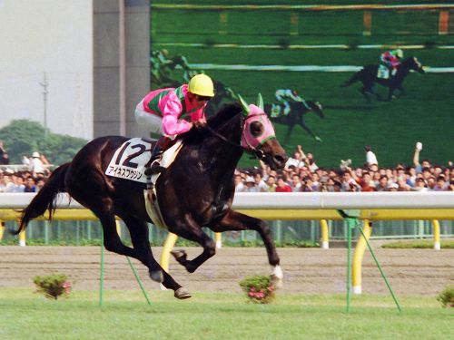 9万円主胜鞍荣誉称号阅读更多原型马 艾尼斯风神中文名草上飞英文名