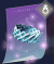 神秘戒指冰.png