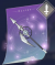 银光之轼.png