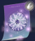电导之星.png