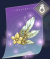 羽毛饰品.png