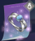 冰幻戒指.png