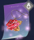 情谊护符.png