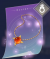 太阳项链.png