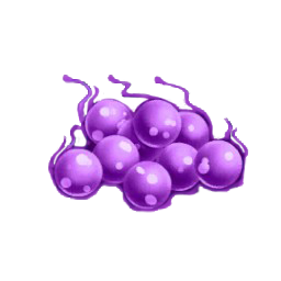 蜥蜴紫珠.png