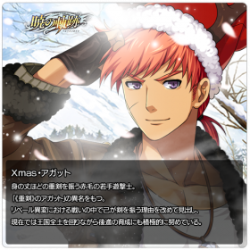 20181205 Xmas・アガット.png