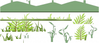 THEME 02 PARALLAX 2 1.png