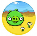PigConcepts01.jpg