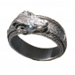 玺戒-黑蛇之戒.png