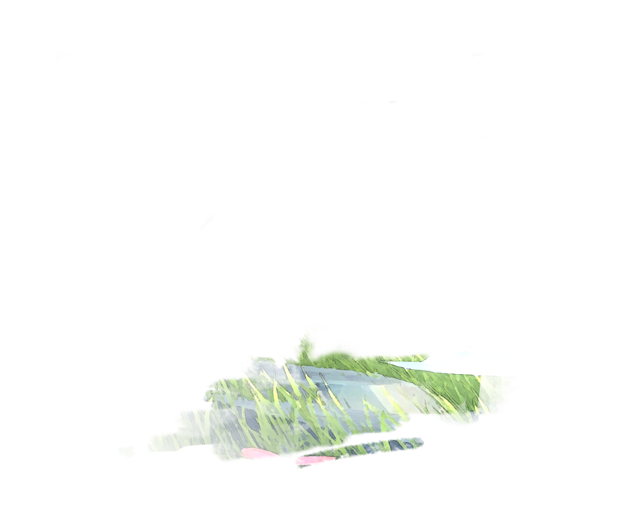 Tex pet kibo card foreground 500023.png
