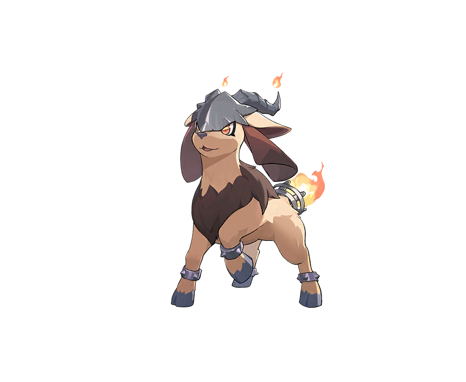 Tex pet kibo card kibo 500038 s1.png
