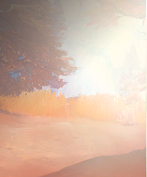 Tex pet kibo card background 500038 s1.png