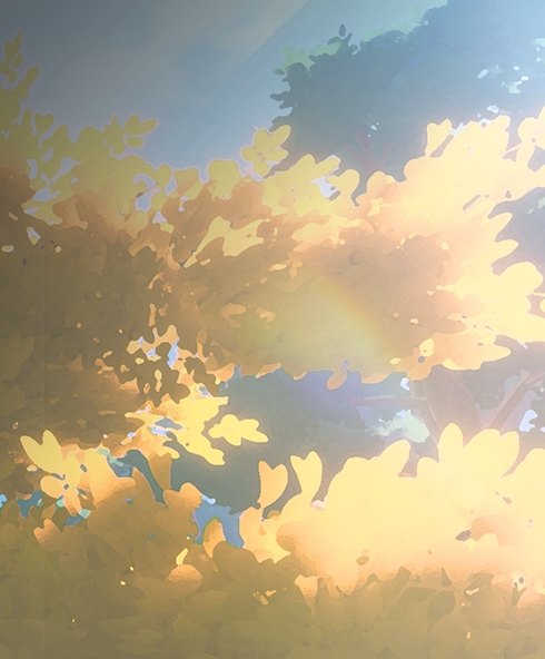 Tex pet kibo card background 500124.png