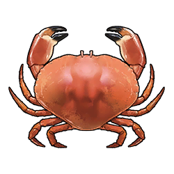 Tex icon item fishcrab.png
