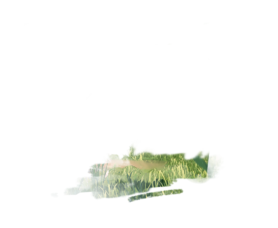 Tex pet kibo card foreground 500258.png