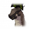 Tex icon pet 500035.png
