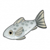 Tex icon item fish08.png