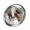 Tex icon item kiboecho 500576.png