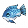 Tex icon item fish16.png
