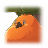 Tex icon pet 500818.png