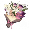 Tex icon item gift 03.png