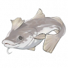 Tex icon item fish33.png