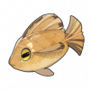 Tex icon item fish12.png