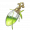 生命之息