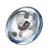 Tex icon item gift 2 010.png