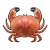 Tex icon item fishcrab.png