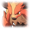 Tex icon pet 500245.png
