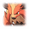 Tex icon pet 500245.png