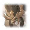 Tex icon pet 500137.png