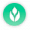 Tex icon petelem wood.png