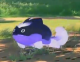 卫星-娃娃鱼.png