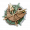 嘹亮的胜利·烁