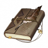 Tex icon item gift 05.png