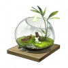 Tex icon item gift sp 08.png