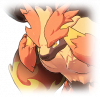 Tex icon pet 500246.png
