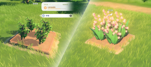 Tex guide home farm04.png