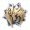 角斗尖刺·辉
