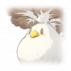 Tex icon pet 500298.png