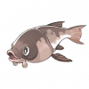Tex icon item fish23.png