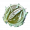 剪空之羽·烁