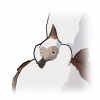 Tex icon pet 500132.png