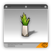 尖锐的观赏植物