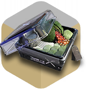 Sandbox1 food 28.png