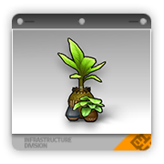 热带植物盆栽