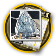 天空盒招聘合同