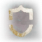 Rogue4 shield.png